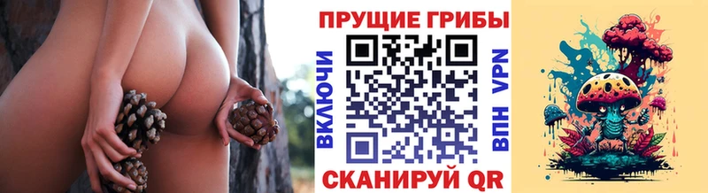 Псилоцибиновые грибы ЛСД  Родники 